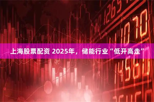 上海股票配资 2025年，储能行业“低开高走”