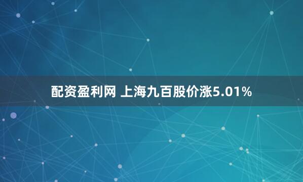 配资盈利网 上海九百股价涨5.01%