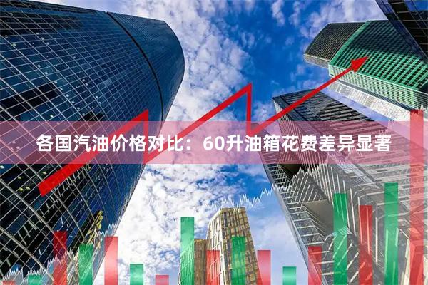 各国汽油价格对比：60升油箱花费差异显著