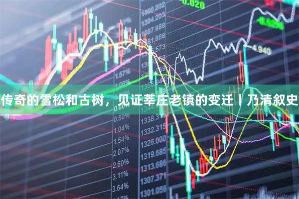 传奇的雪松和古树，见证莘庄老镇的变迁丨乃清叙史