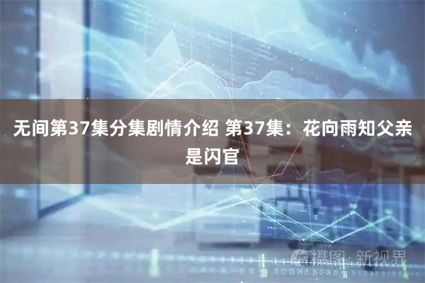 无间第37集分集剧情介绍 第37集：花向雨知父亲是闪官