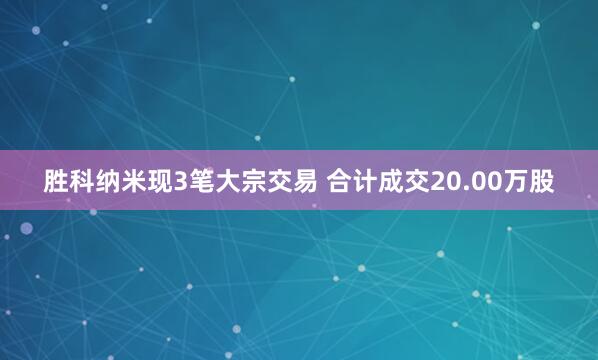 胜科纳米现3笔大宗交易 合计成交20.00万股